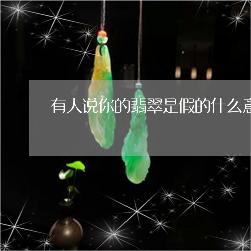 有人说你的翡翠是假的什么意思/2023112530382