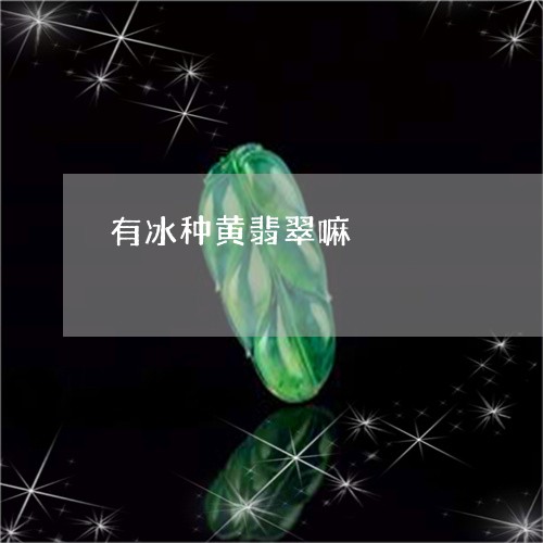 有冰种黄翡翠嘛/2023081571815