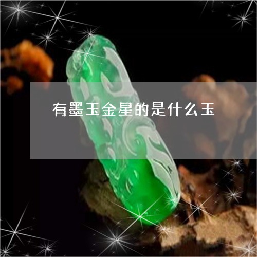 有墨玉金星的是什么玉/2023051139281