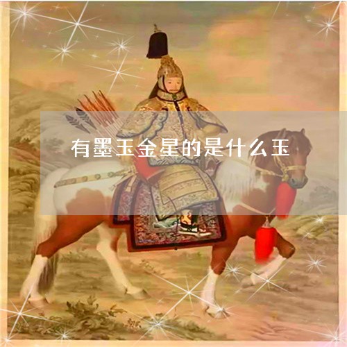 有墨玉金星的是什么玉/2023051139483