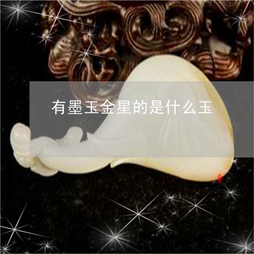 有墨玉金星的是什么玉/2023051139584