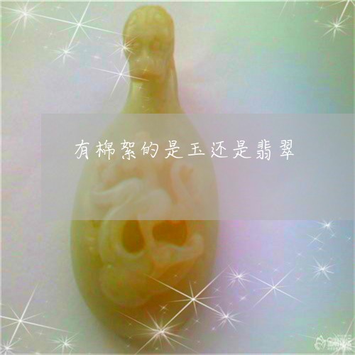 有棉絮的是玉还是翡翠/2023051182916