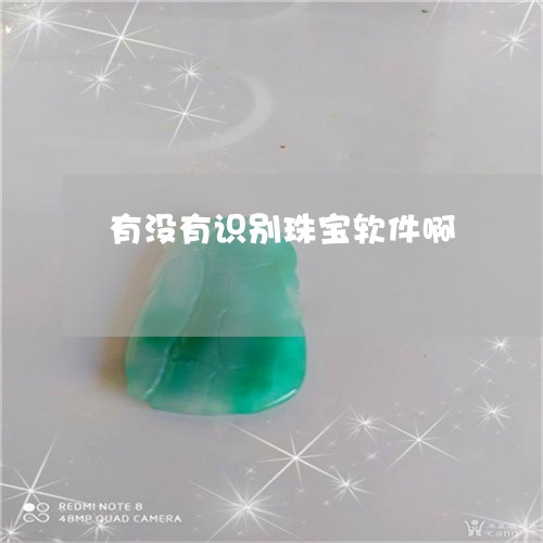 有没有识别珠宝软件啊/2023051046261