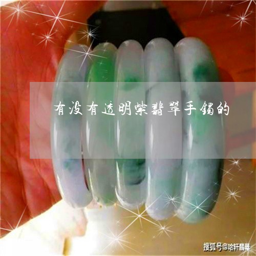 有没有透明紫翡翠手镯的/2023110387048