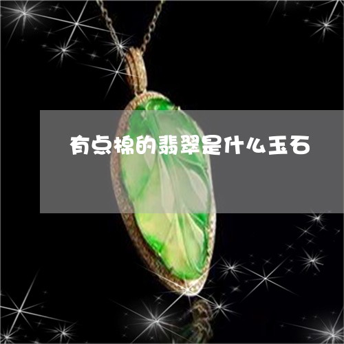 有点棉的翡翠是什么玉石/2023111561616