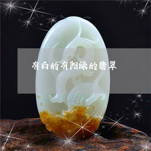 有白的有阳绿的翡翠/2023031972927