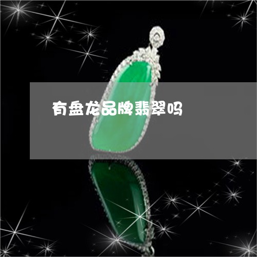 有盘龙品牌翡翠吗/2023071442705