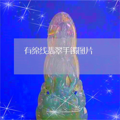 有绵线翡翠手镯图片/2023031973827