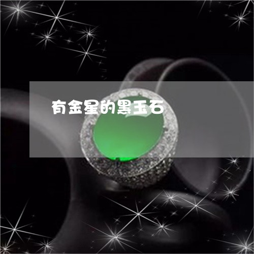 有金星的黑玉石/2023081490793