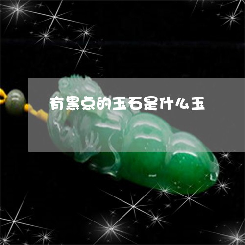 有黑点的玉石是什么玉/2023081320583