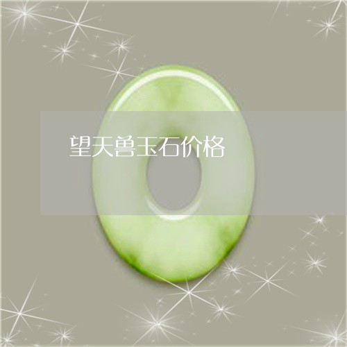 望天兽玉石价格/2023081506361