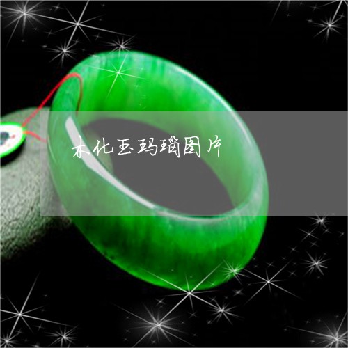 木化玉玛瑙图片/2023081479371