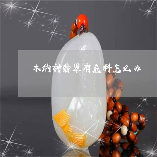 木纳种翡翠有危料怎么办/2023071385040