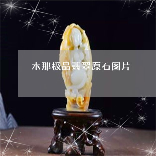 木那极品翡翠原石图片/2023081286847