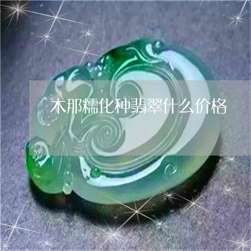 木那糯化种翡翠什么价格/2023110448260