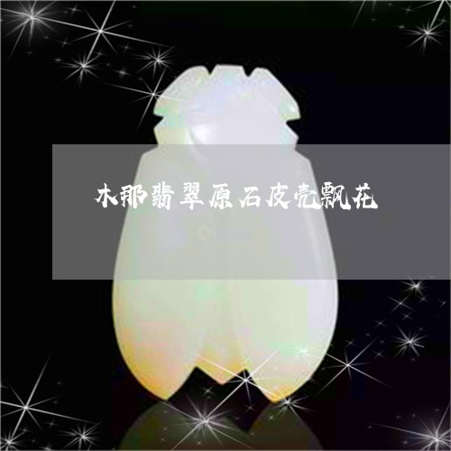 木那翡翠原石皮壳飘花/2023092982615