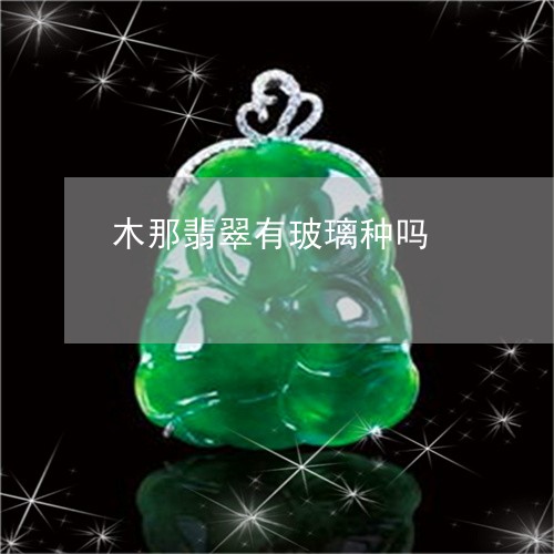 木那翡翠有玻璃种吗/2023031930503