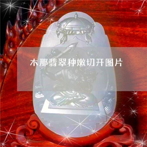 木那翡翠种嫩切开图片/2023092983718