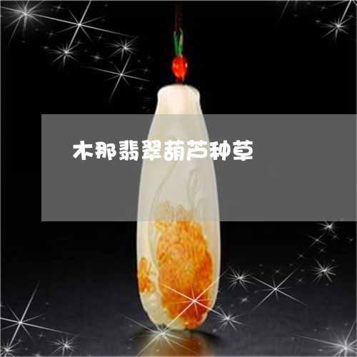 木那翡翠葫芦种草/2023093016160