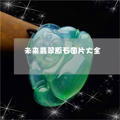 未来翡翠原石图片大全/2023081460605