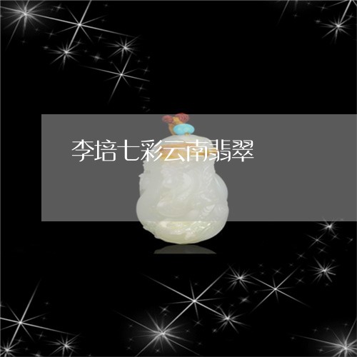 李培七彩云南翡翠/2023071460583