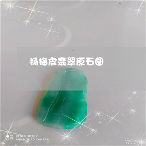 杨梅皮翡翠原石图/2023121817138