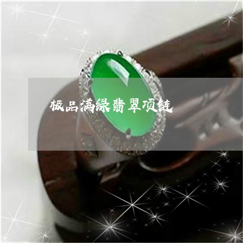 极品满绿翡翠项链/2023120401716