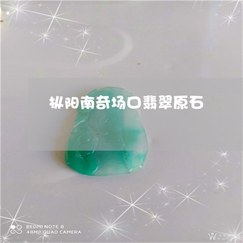 枞阳南奇场口翡翠原石/2023081375030