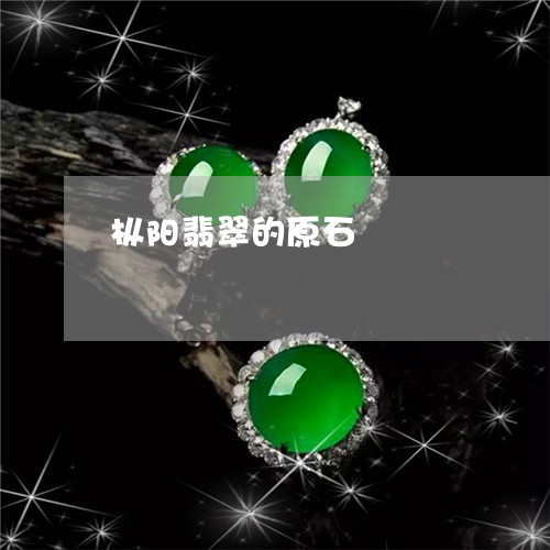 枞阳翡翠的原石/2023062216058