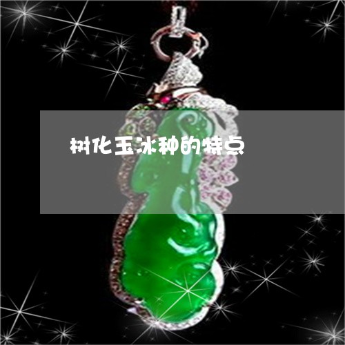 树化玉冰种的特点/2023071596928