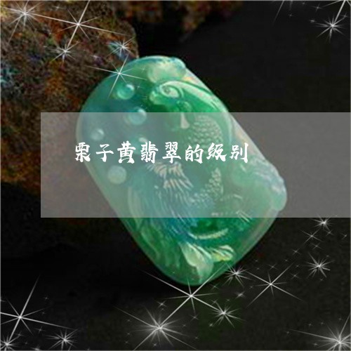 栗子黄翡翠的级别/2023121922724