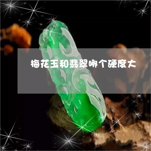 梅花玉和翡翠哪个硬度大/2023051954147