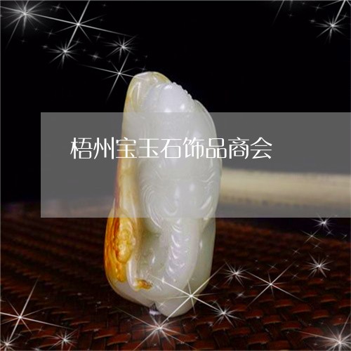 梧州宝玉石饰品商会/2023032065816