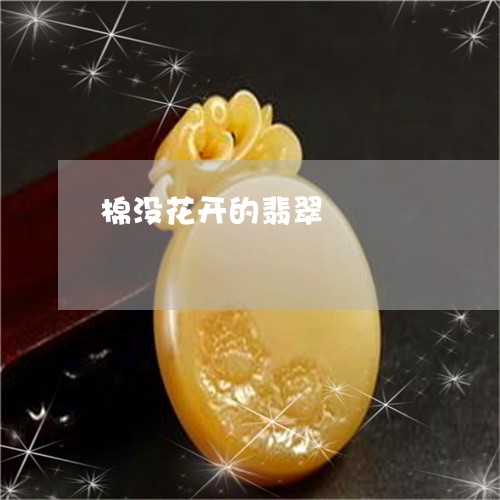 棉没花开的翡翠/2023062218040