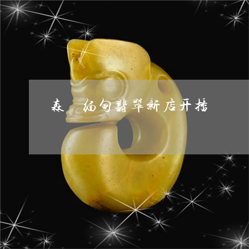 森垚缅甸翡翠新店开播/2023100736060