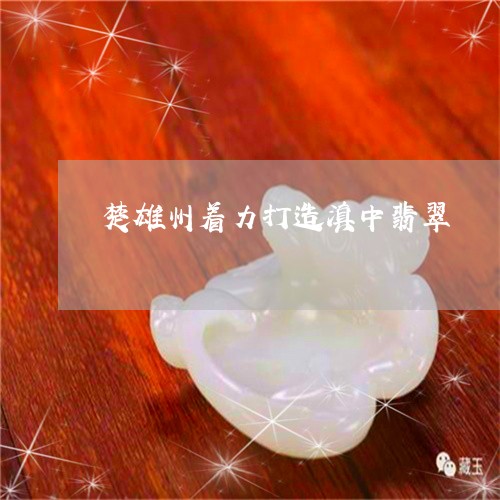 楚雄州着力打造滇中翡翠/2023051953938