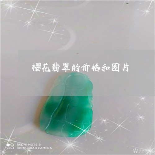 樱花翡翠的价格和图片/2023051194614