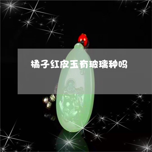 橘子红皮玉有玻璃种吗/2023051170725