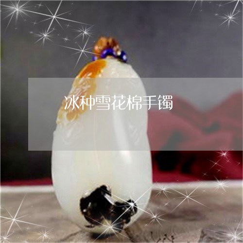 檽冰种雪花棉手镯/2023061974825