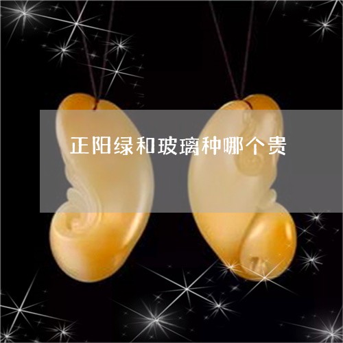 正阳绿和玻璃种哪个贵/2023081478472