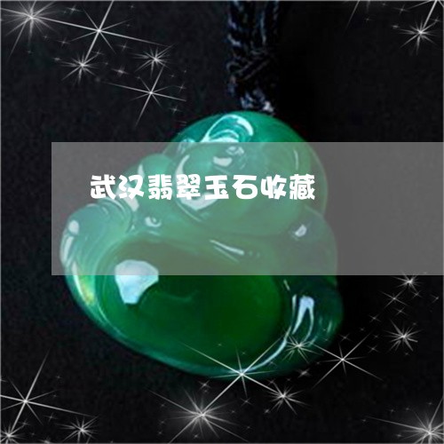 武汉翡翠玉石收藏/2023122080595