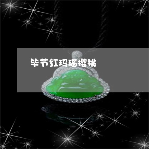 毕节红玛瑙樱桃/2023062216947