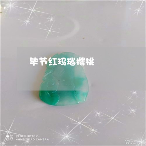 毕节红玛瑙樱桃/2023081591402