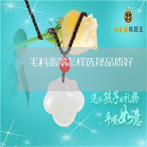 毛料翡翠怎样选择品质好/2023111632694