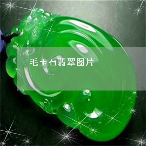 毛玉石翡翠图片/2023081526839