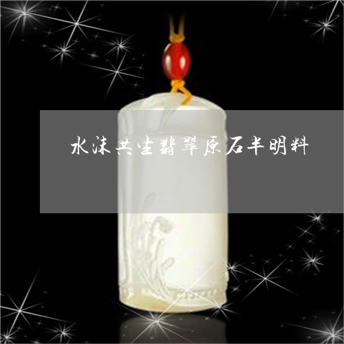 水沫共生翡翠原石半明料/2023110390280