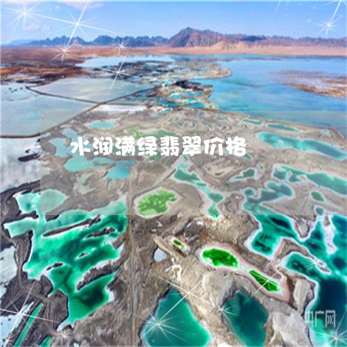 水润满绿翡翠价格/2023071508159