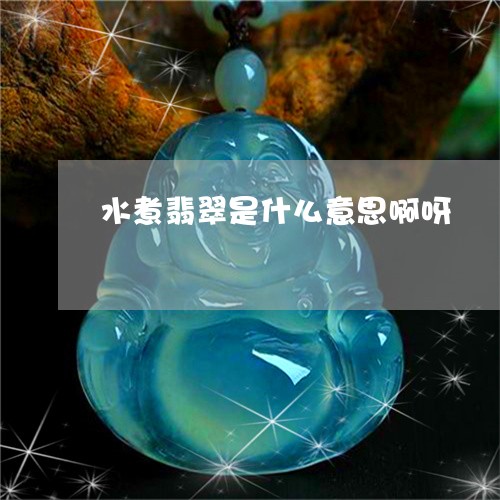 水煮翡翠是什么意思啊呀/2023110352715