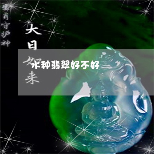 水种翡翠好不好/2023081596268