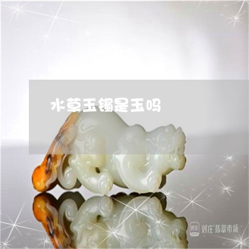 水草玉镯是玉吗/2023081514936